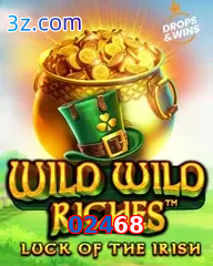 02468 slot wild wild riches